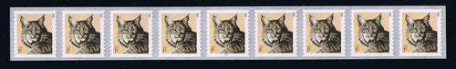 # 4672a (2015) Bobcat - PS/9, plt P1111 with 4-digit 2L Top Back Number