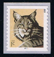 # 4672a (2015) Bobcat - PS/1, #P1111 with 4-digit Top Back Number, MNH