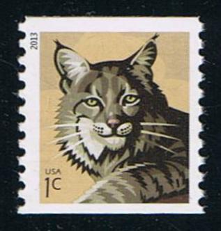 # 4802 (2013) Bobcat - Coil sgl, MNH