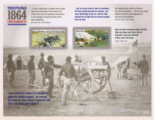 # 4910-11 (2014) Civil War, 1864 - Pane, MNH