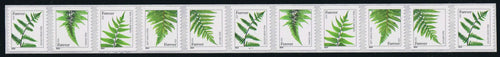 # 4973-77 (2015) Ferns, 2014 Date - PS/11, #S1111, MNH