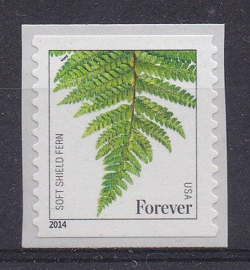 # 4973 (2015) Ferns, 2014 Date - Coil sgl, MNH