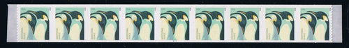 # 4990 (2015) Penguins - PS/9, #S1111, MNH