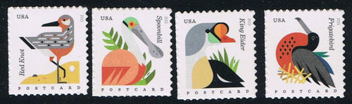 # 4991-94 (2015) Coastal Birds - Sgls, Set/4, MNH