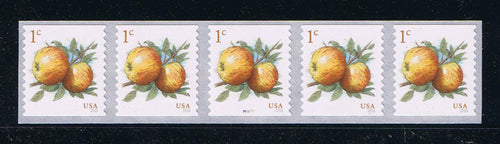 # 5037 (2016) Apples - PS-5, #P111111 with 3-digit 1L Back Number