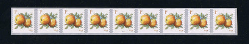 # 5037 (2016) Apples - PS-9, #P111111 with 3-digit 3L Back Number