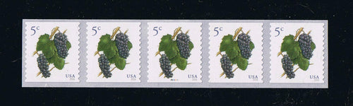 # 5038 (2016) Grapes - PS-5 #P111111 with 4-digit 2R Back Number - Bottom
