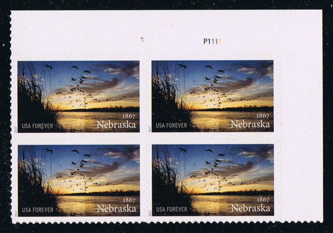 # 5179 (2017) Nebraska Statehood - PB, UR #P1111, MNH