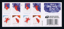 # 5246b (2017) Snowy Day - BKLT, #P1111, MNH