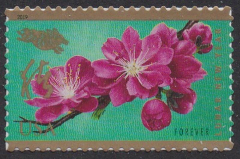 # 5340 (2019) Year of the Dog - Sgl, MNH