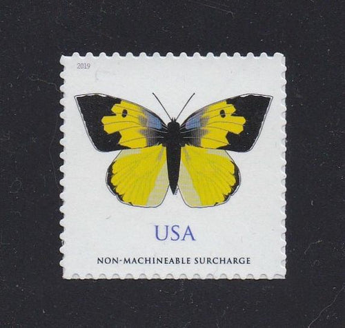 # 5346 (2019) Dogface Butterfly - Sgl, MNH