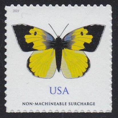 # 5346 (2019) Dogface Butterfly - Sgl, MNH