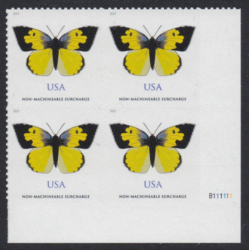 # 5346 (2019) Dogface Butterfly - PB, LR #B111111, MNH