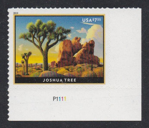 # 5347 (2019) Joshua Tree - Plt sgl, LR #P1111, MNH