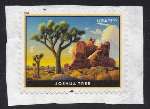 # 5347 (2019) Joshua Tree - Sgl, Used [1]