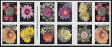 # 5359b (2018) Cactus Flowers - BKLT, #B11111, MNH