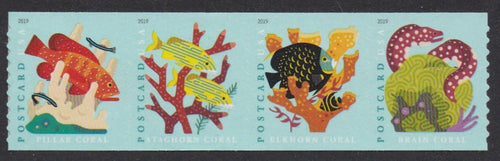 # 5367-70 (2019) Coral Reefs - Strip/4, MNH