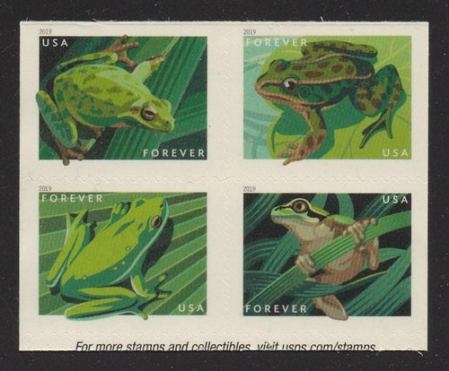 # 5398a (2019) Frogs - Bklt BK/4, MNH
