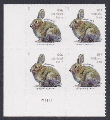# 5544 (2021) Brush Rabbit - PB, LL #P11111, MNH
