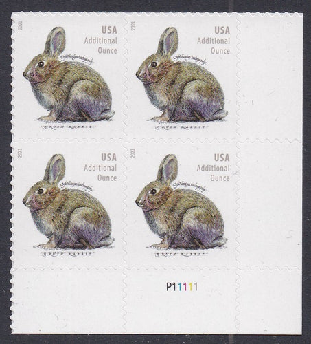 # 5544 (2021) Brush Rabbit - PB, LR #P11111, MNH