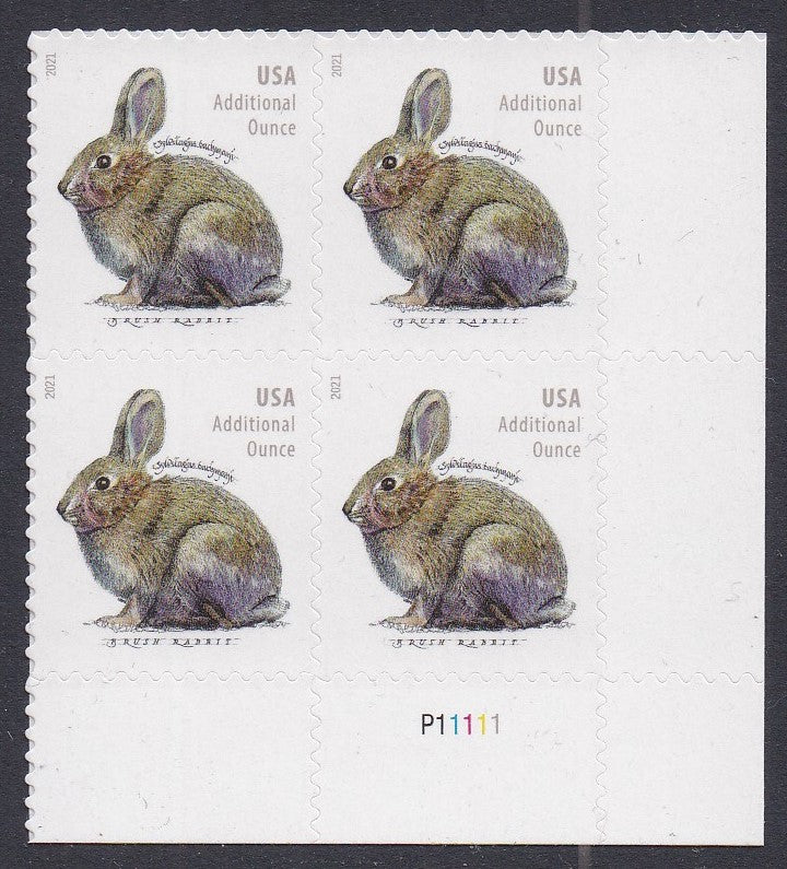 # 5544 (2021) Brush Rabbit - PB, LR #P11111, MNH