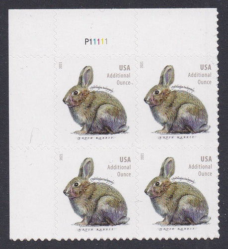 # 5544 (2021) Brush Rabbit - PB, UL #P11111, MNH