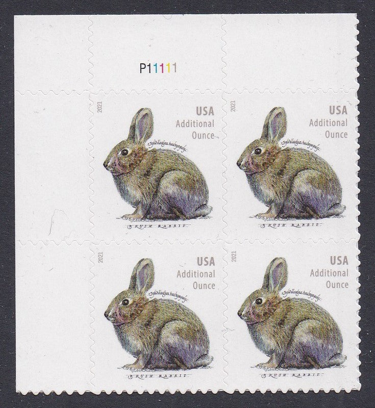 # 5544 (2021) Brush Rabbit - PB, UL #P11111, MNH