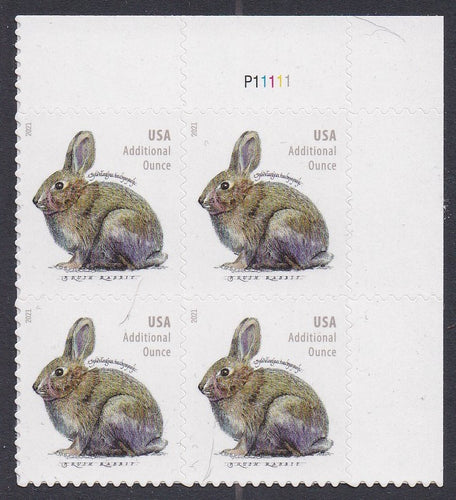 # 5544 (2021) Brush Rabbit - PB, UR #P11111, MNH