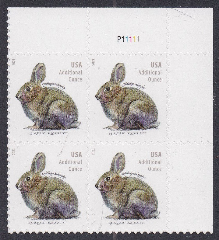 # 5544 (2021) Brush Rabbit - PB, UR #P11111, MNH