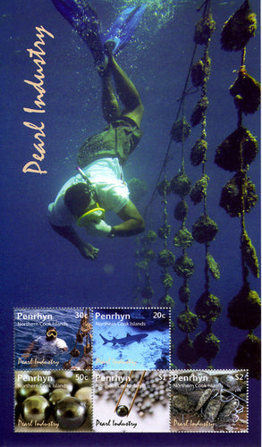 # 486 (2011) Pearl Industry