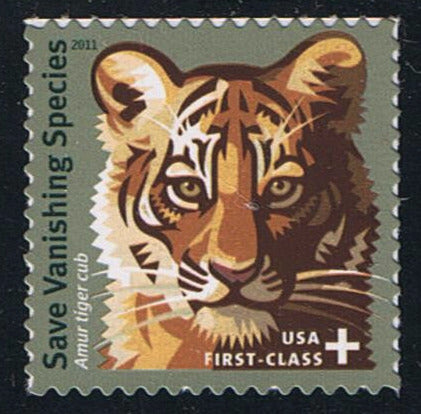 # B4 (2011) Amur Tiger Cub, Semi-Postal - Sgl, MNH