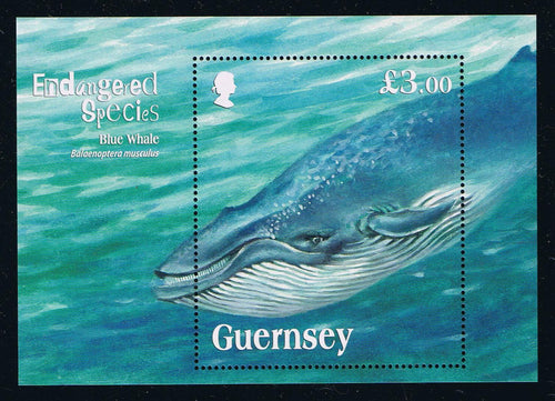 Guernsey #1124 (2011) Blue Whale - S/S, MNH