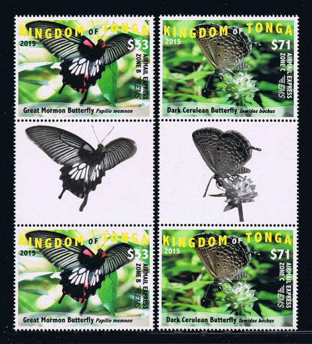 # CE9-10 (2015) Butterflies EMS Rates Part 2 Gutter Pairs