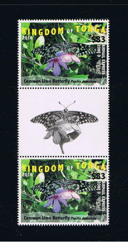 2016 Butterflies EMS Rates Part 3 Gutter Pairs