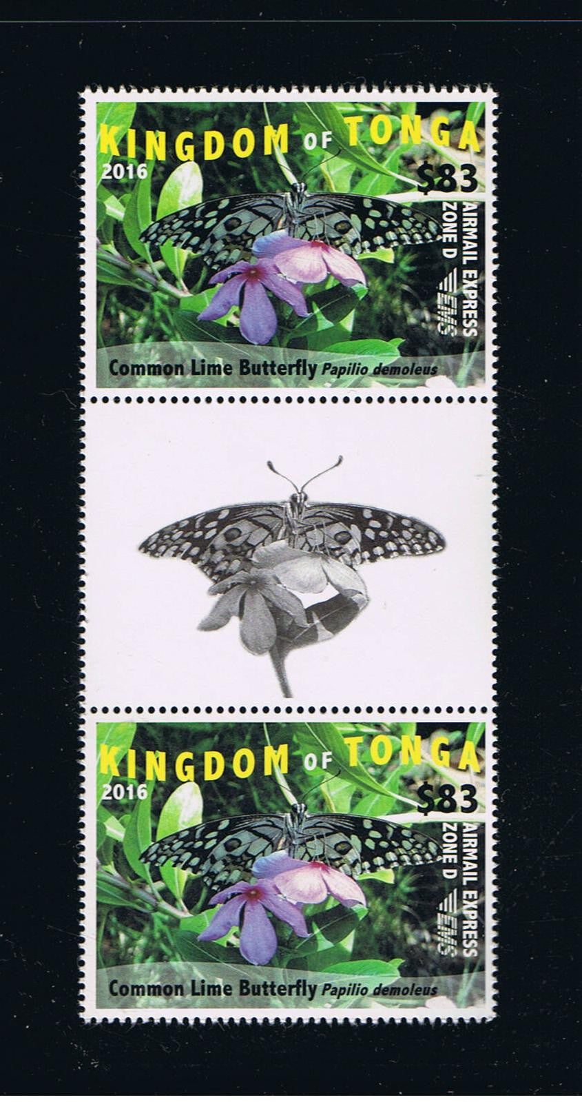 2016 Butterflies EMS Rates Part 3 Gutter Pairs