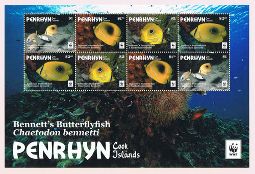 Penrhyn 2017 #580 WWF Butterflyfish