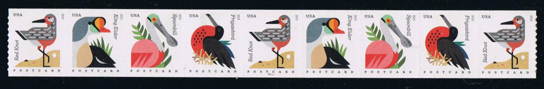 # 4995-98 (2015) Coastal Birds - PS/9, #P1111, MNH