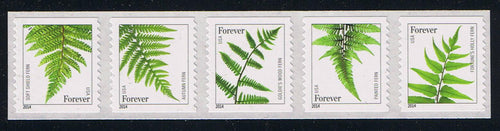 # 4973-77 (2015) Ferns, 2014 Date - Coil Strip/5, MNH
