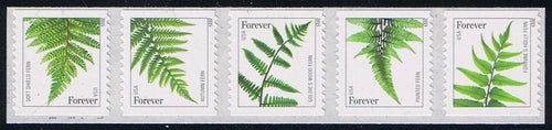 # 4973a-77a (2015) Ferns, 2015 Date - Coil Strip/5, MNH