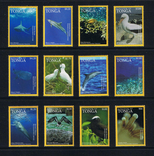 2016 Tonga Pacific Ocean Wildlife