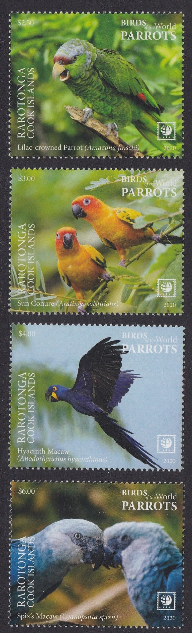 Rarotonga (2020) Birds of the World, Parrots, Large Stamp - Sgls, Set/4