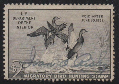# RW18 (1951) Gadwalls - Sgl, Signed [1]