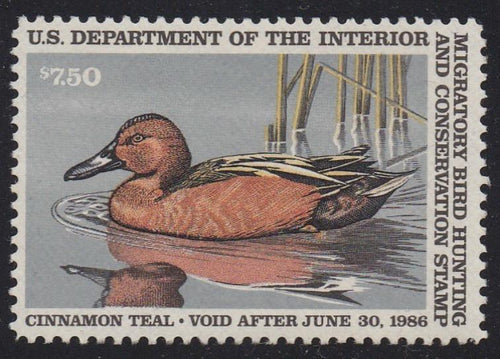 # RW52 (1985) Cinnamon Teal - Sgl, MNH