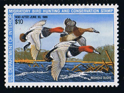 RW54 (1987) Redhead Ducks - Sgl, MNH