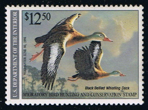 # RW57 (1990) Black Bellied Whistling Duck - Sgl, MNH