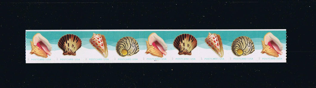 # 5167-70 (2017) Seashells - PS/9, #P1111111, MNH