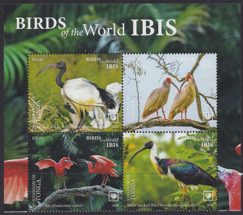 Tonga (2020) Birds of the World, Ibis, Large Stamp - BK/4, Top