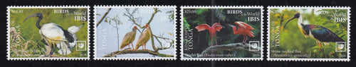 Tonga (2020) Birds of the World, Ibis - Sgls, Set/4