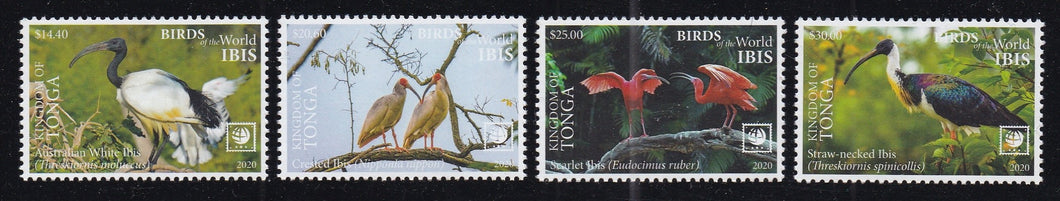 Tonga (2020) Birds of the World, Ibis - Sgls, Set/4