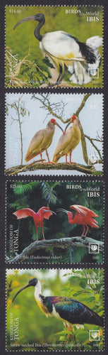 Tonga (2020) Birds of the World, Ibis, Large Stamp - Sgls, Set/4